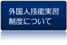 外国人技能実習制度について